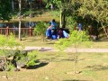 Tn DSC 1852